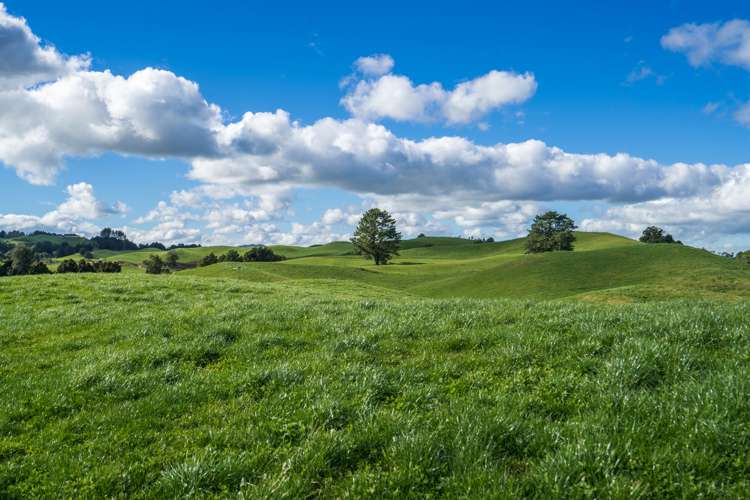 1443 Poihipi Road Oruanui_6