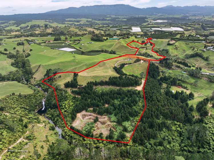 371 Esdaile Road Whakamarama_11