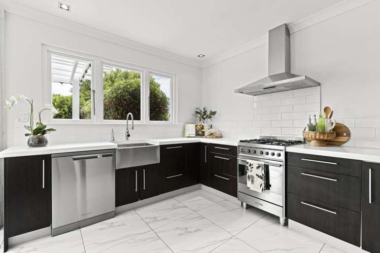 293a Carrington Street Vogeltown_1