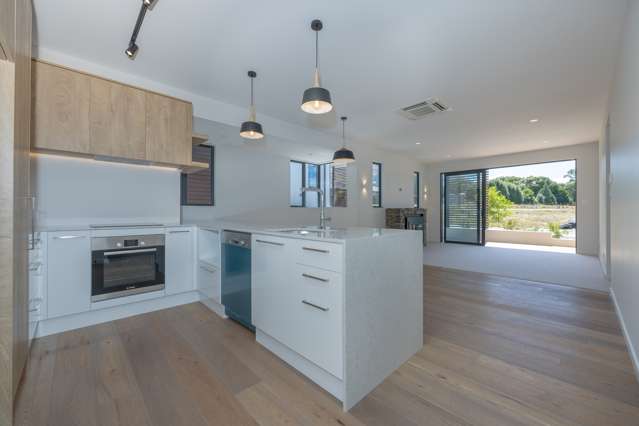 7 Horrell Lane Wanaka_2