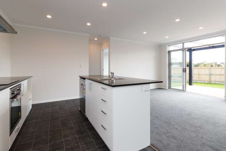 2 Flint Street Milson_9