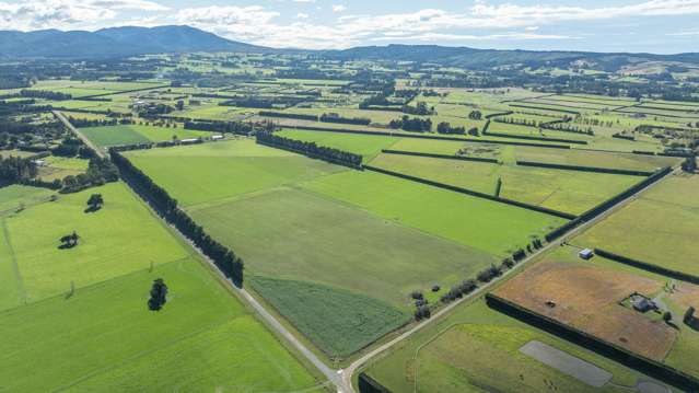 375 Stonyflat Road Loburn_3