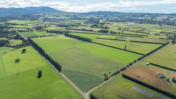 375 Stonyflat Road Loburn_3