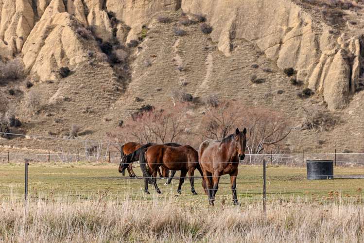 2125 Cardrona Valley Road Cardrona_13