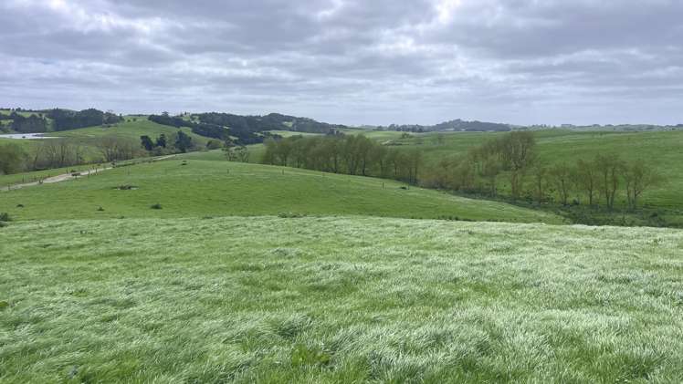 77 Parker Road Wellsford_19