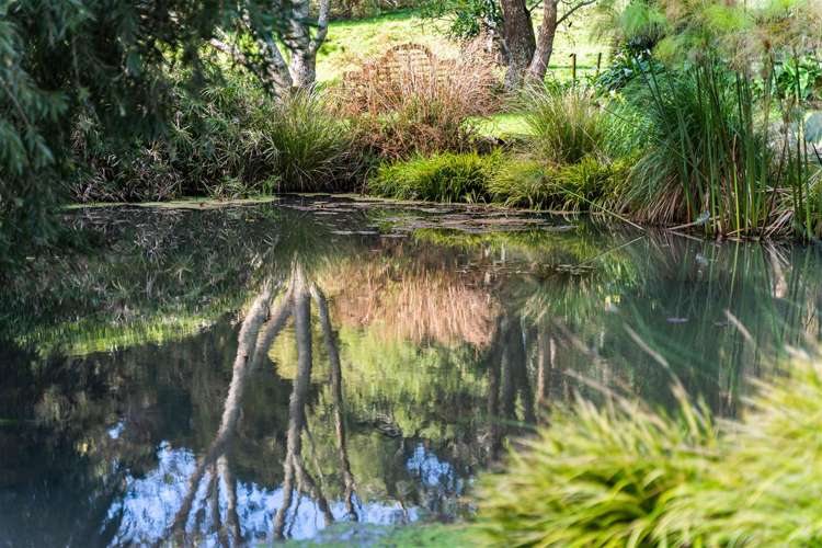 285 Crane Road Kauri_31