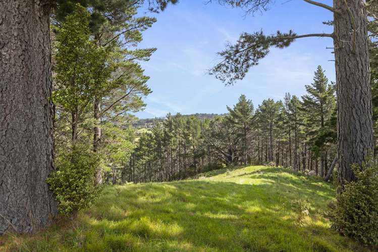 61 Spikes Way Whitianga_27