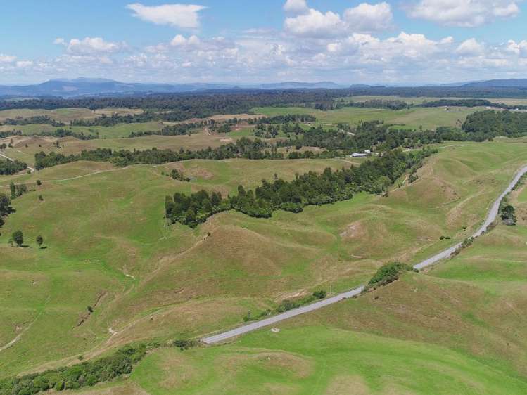 627 South Road Mamaku_12