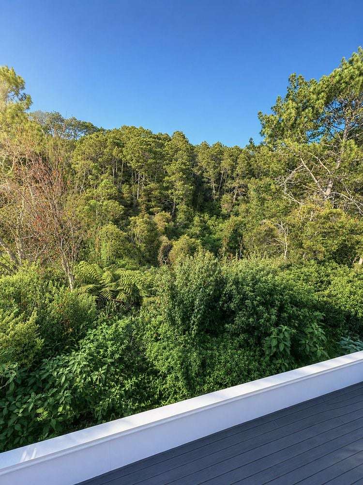 29 Bellbird Rise Murrays Bay_22