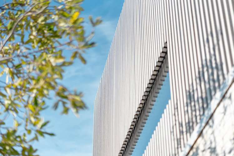 302 Cannon Hill Crescent Mount Pleasant_15