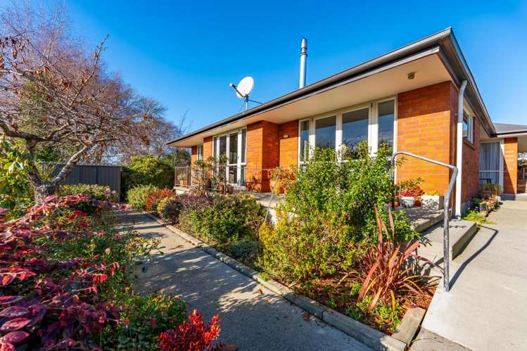 41a Maltby Avenue West End_11