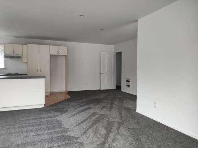 57A Opawa Road Waltham_2