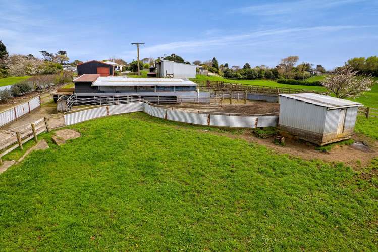 2A Ropata Street Hawera_10