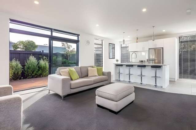 36A Rosewarne Street Spreydon_4