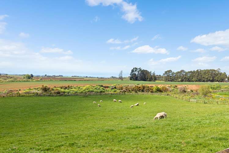 64 Hunter Road Pukekawa_16