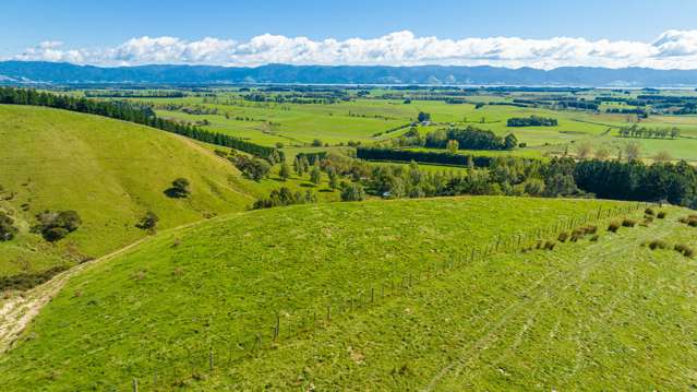 Lake Ferry Road Martinborough_4