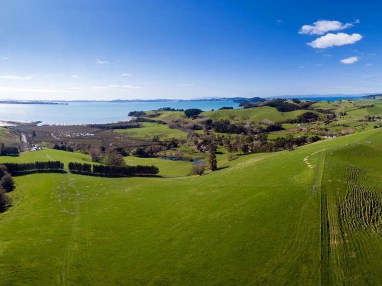 1019 Clevedon Kawakawa Road Clevedon_3