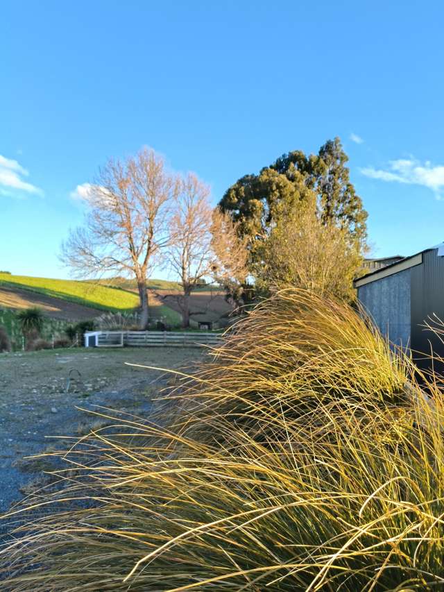 24c Thurso Street Lawrence_2