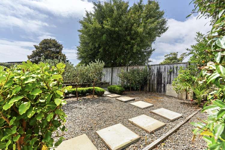 293a Carrington Street Vogeltown_23
