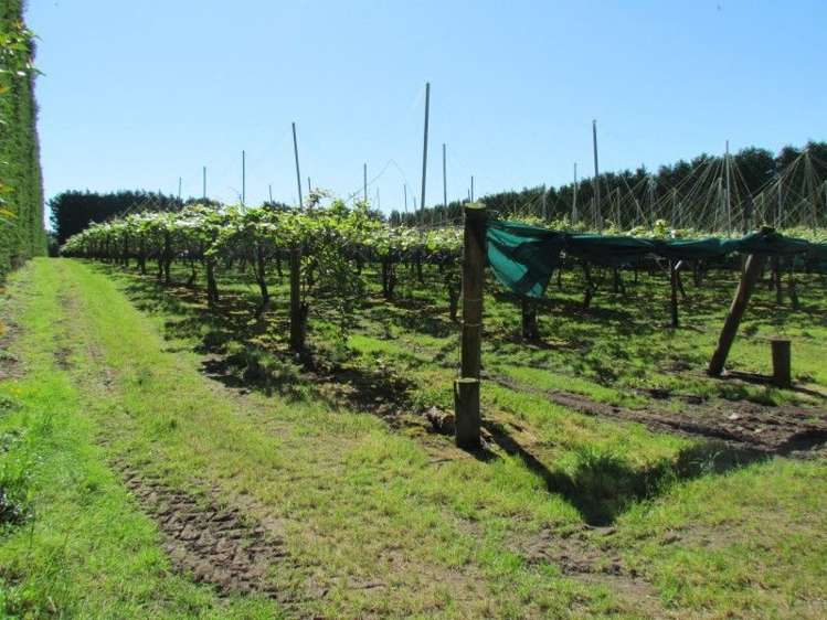 39 Sedgemoor Lane Hauraki Surrounds_20