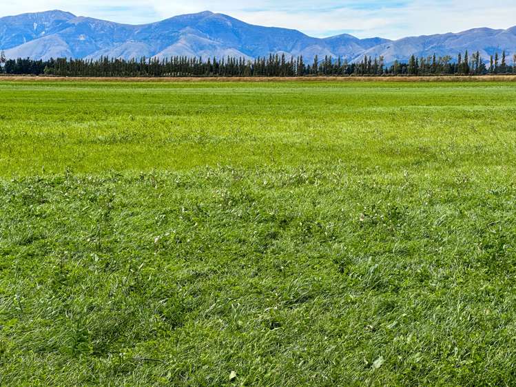 164 Oswald Road Te Anau Surrounds_18