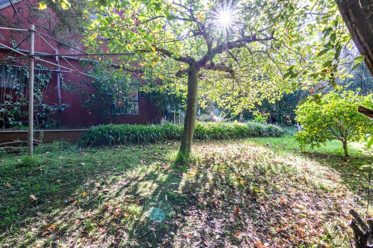 1399 Pack Spur Road Mataikona_20