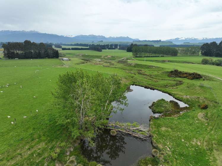 1148 Blackmount Redcliff Road Whare Creek_10