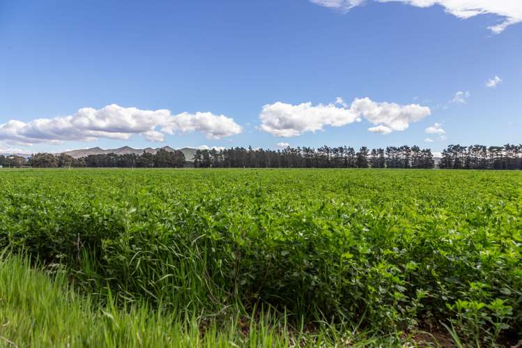 279 Waipara Flat Road Waipara_23