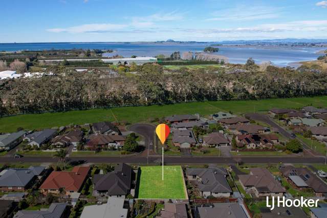 12 Longmynd Drive Katikati_3