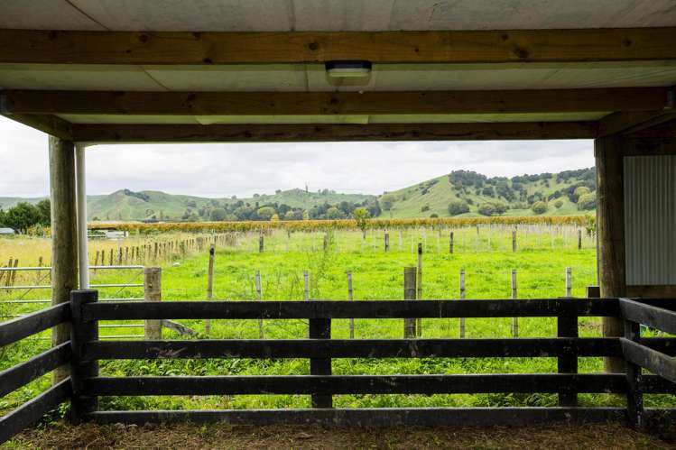 1290 Matawai Road Ormond_15