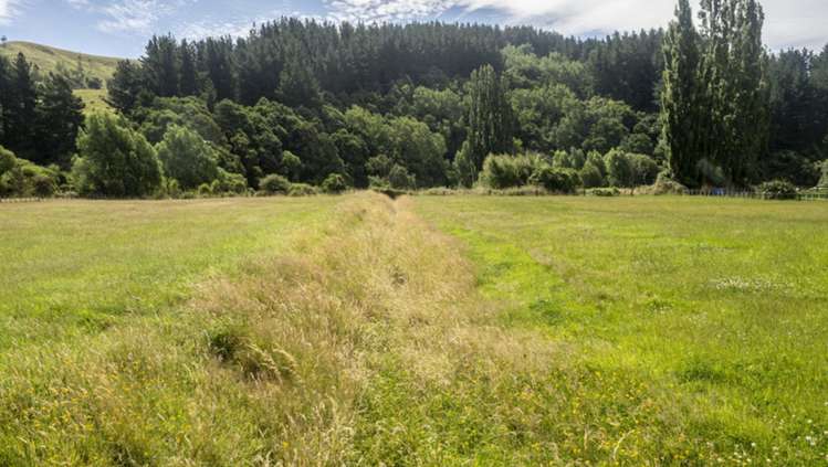 1182 Opaki Kaiparoro Road Mauriceville_13