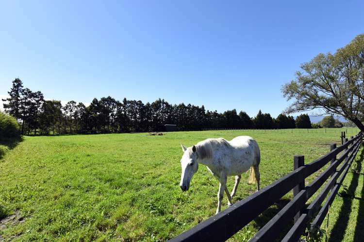 238 Redwood Road Appleby_14