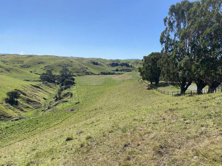 Lot 2, DP 566738, Kawera Road Hastings_8