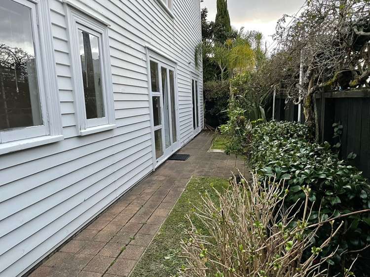 40B Crummer Road Grey Lynn_9