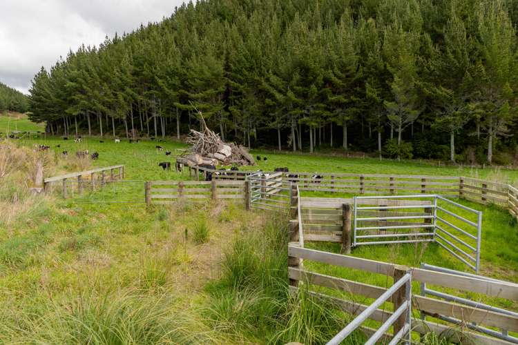 461 Otamarakau Valley Road Pukehina_19