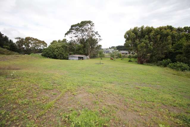 72 Bergin Road Foxton_2