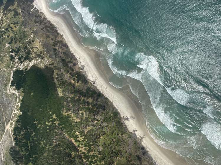 205 Matakana Island, 148 HA Matakana Island_14