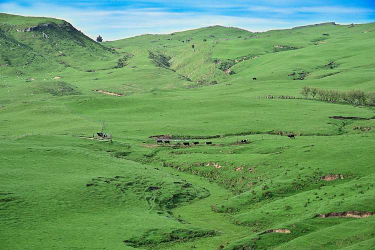 439 Rakauroa Road Matawai_12