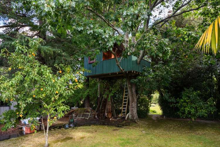 80 Oak Street Mangapapa_23