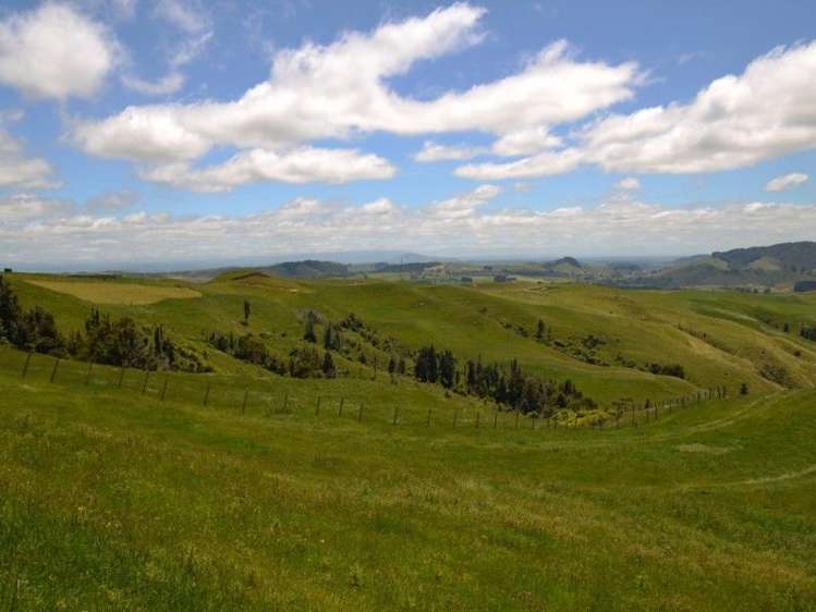 184 Grice Road Wharepuhunga_9