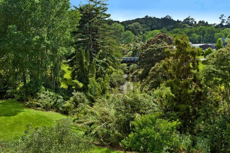 6/7 The Avenue Albany_12