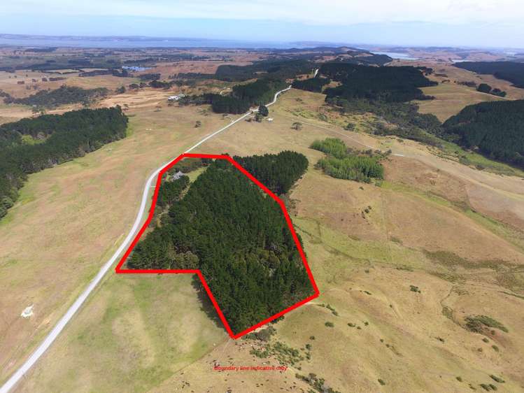 1044 Burma Road Tapora_11