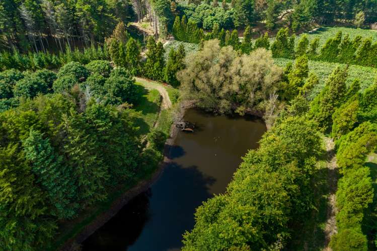 299 Lockington Road Aongatete_5