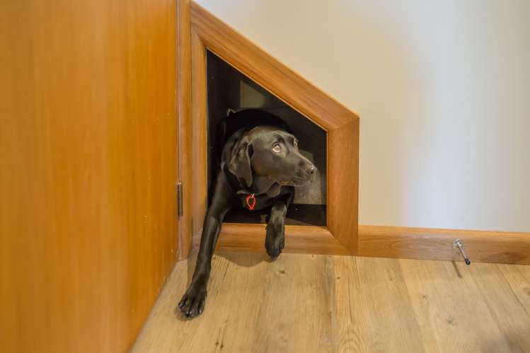 60 Grierson Avenue Amberley_25