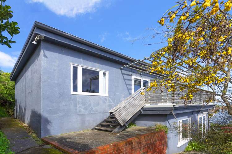 34a Wilberforce Street Miramar_12