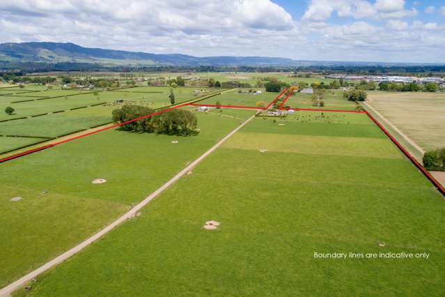 121 Tower Road Matamata_1