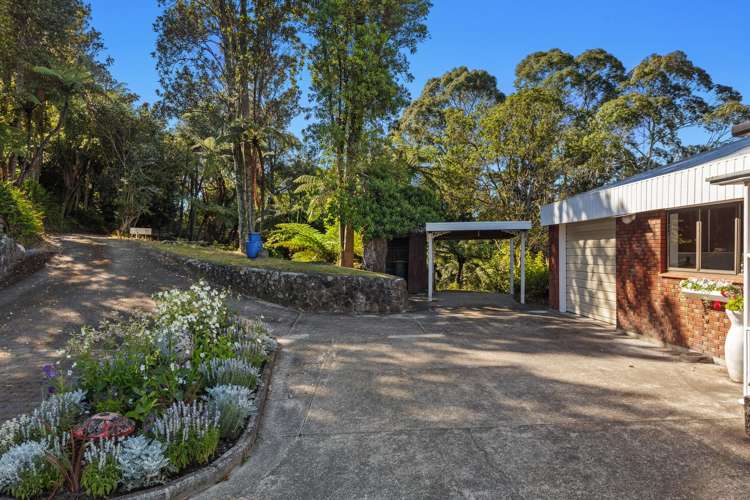 5 Bridger Glade Whakatane_23