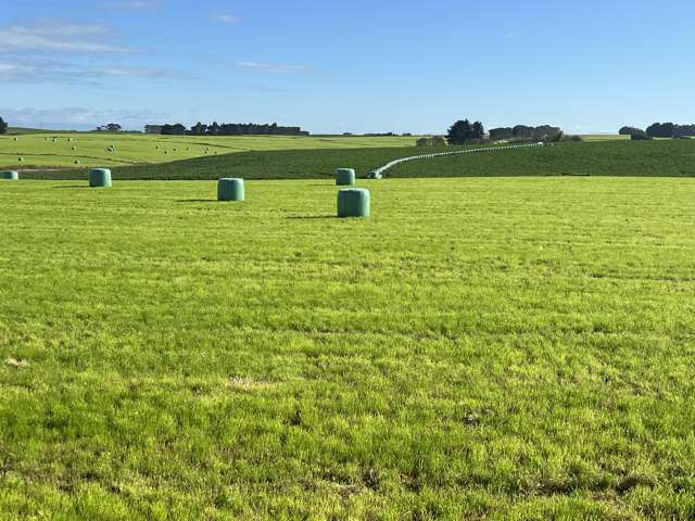 165 Orr Road Waimatua_1