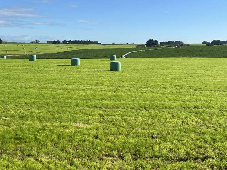 165 Orr Road Waimatua_1