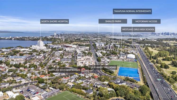 16 Forrest Hill Road Forrest Hill_19